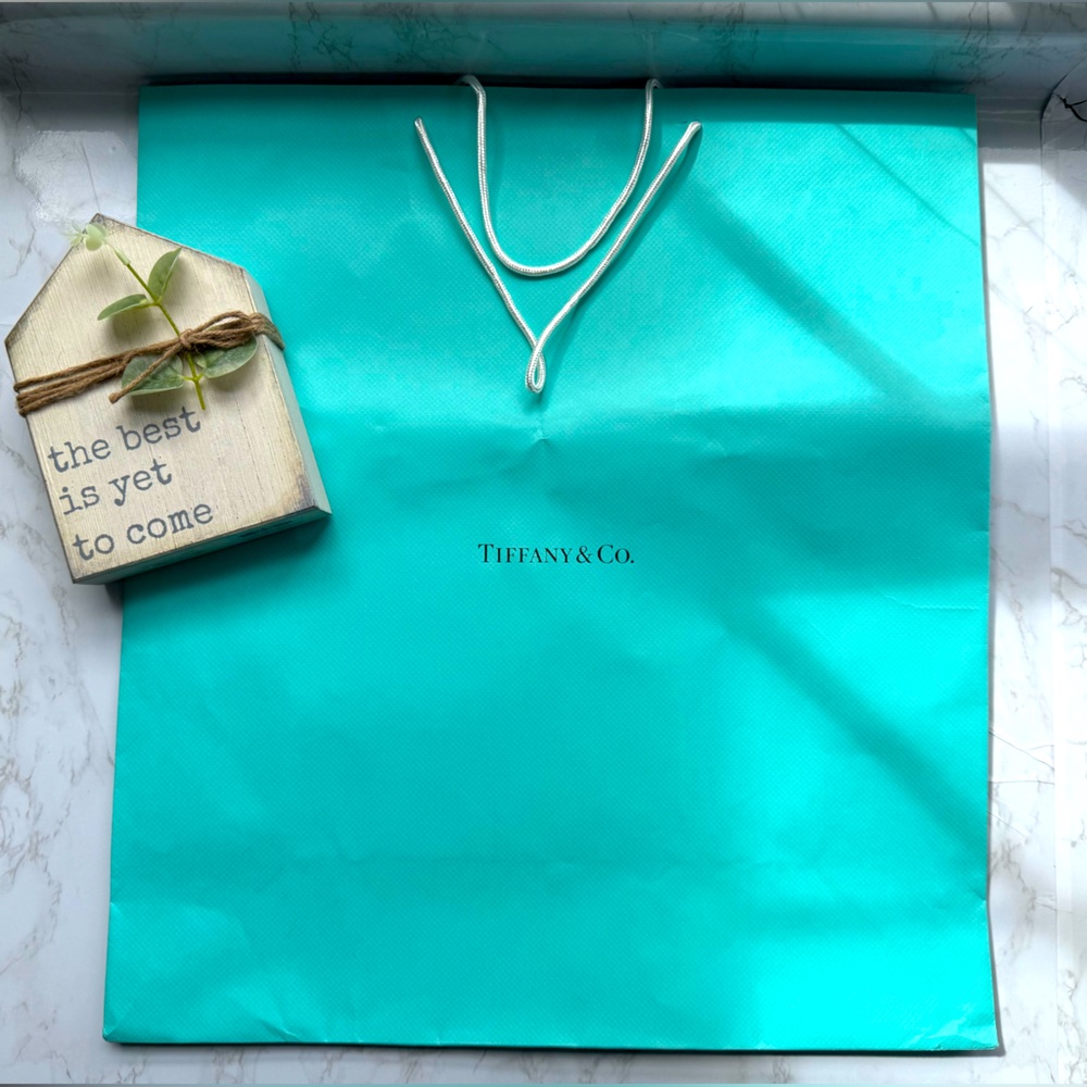 Large Tiffany & Co. Classic Tiffany Blue Shopping Bag - Used